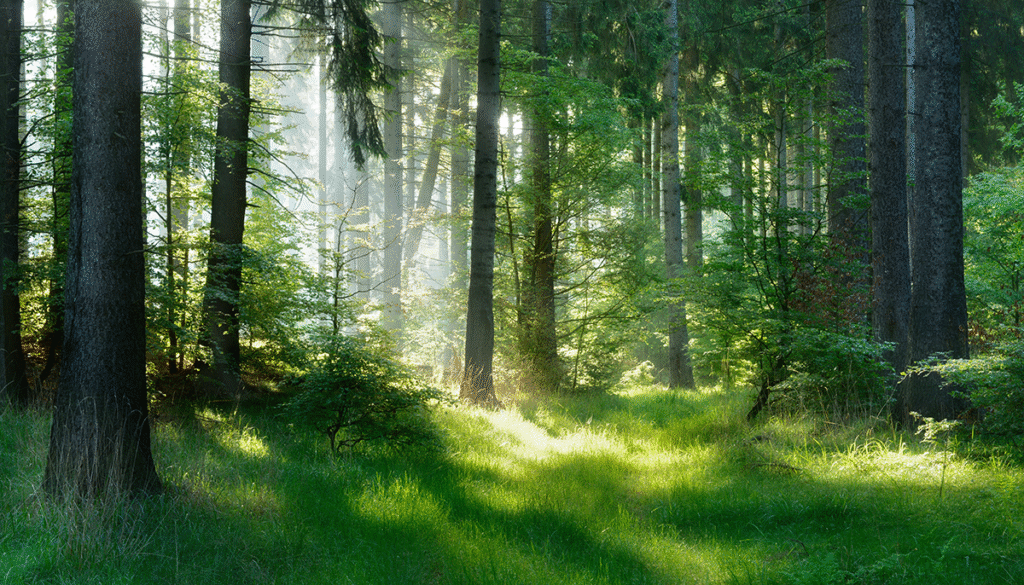 cultivating a greener future under the couch book series